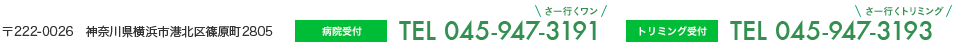 〒222-0026　神奈川県横浜市港北区篠原町2805・病院受付・045-947-3191・トリミング受付・045-947-3193
