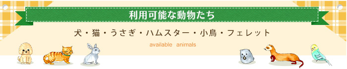 利用可能な動物たち