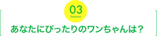 新横浜動物医療センター