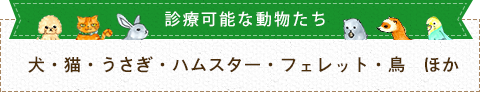 新横浜動物医療センター