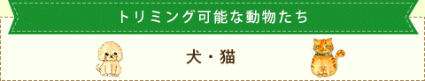 １階犬その他の動物受付