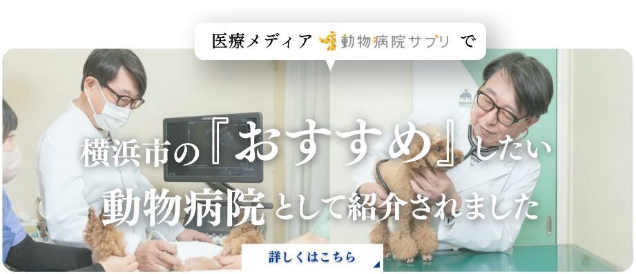 医療メディア ※動物病院サプリで横浜市の「おすすめ」したい動物病院として紹介されました 詳しくはこちら